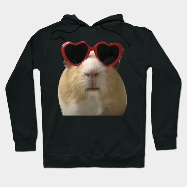 cute hamster in heart glasess Hoodie by zaiynabhw